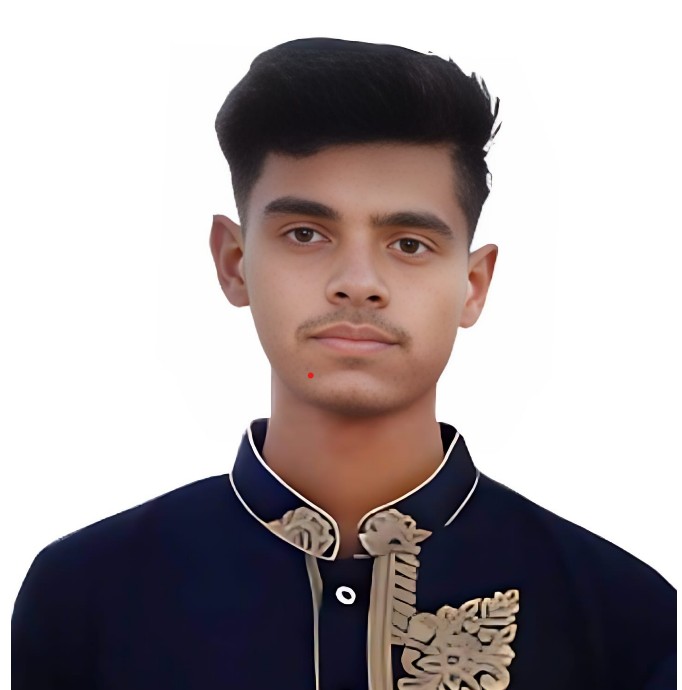 এমএইচ হাসান মেহেদী 